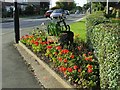 Flower bed on Main Road