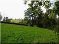 Clover field: Aber-Cefel, Llandysul