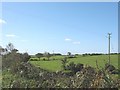 View across fields towards Parc Farmhouse