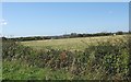 View across a  hayfield to Rhyd-yr-wyn cottage