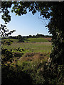 View across the Llanerch Brook valley