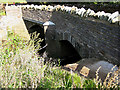 Twin arches of Stone Bridge