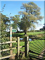 Stile and gateway for track to Harleston Church