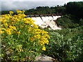 Water spills over the Deugh Dam