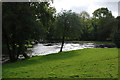 The Teifi at Maesycrugiau