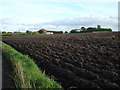 Lancashire Loam