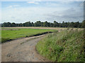 Farm track to Cheswell Manor