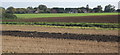 View across fields towards Harleston